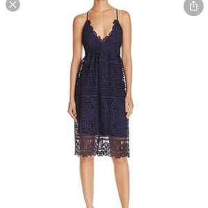 Bardot Versailles Lace Dress